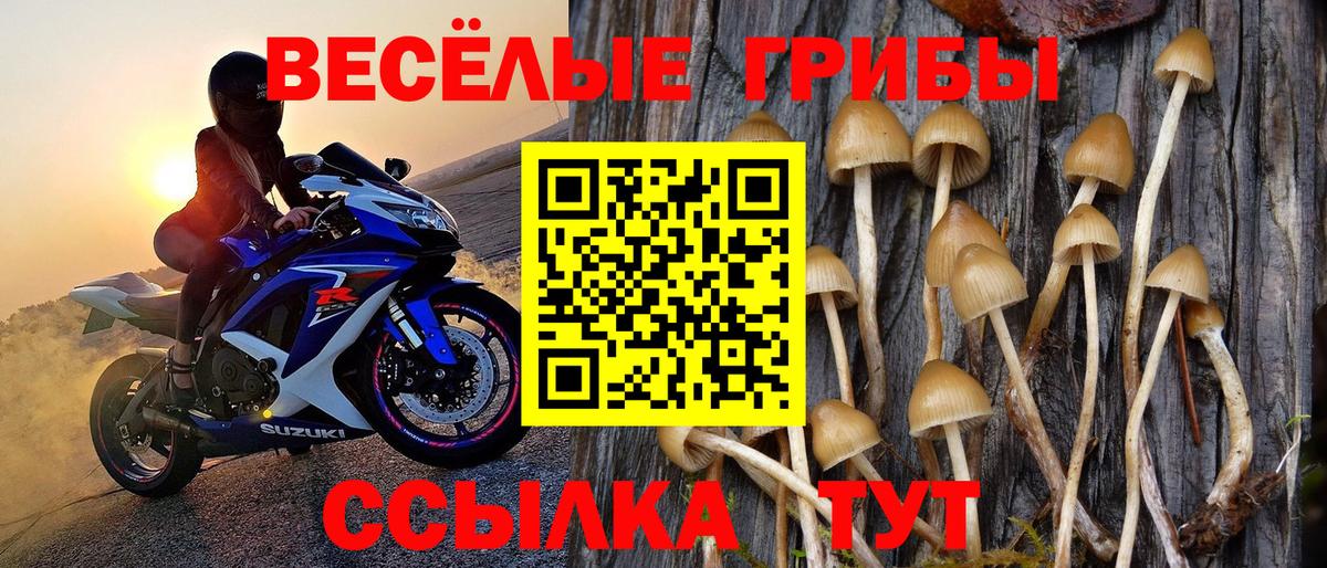 Галлюциногенные грибы прущие грибы Бахчисарай